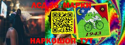 шишки Бузулук